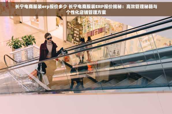 长宁电商服装erp报价多少 长宁电商服装ERP报价揭秘：高效管理秘籍与个性化店铺管理方案