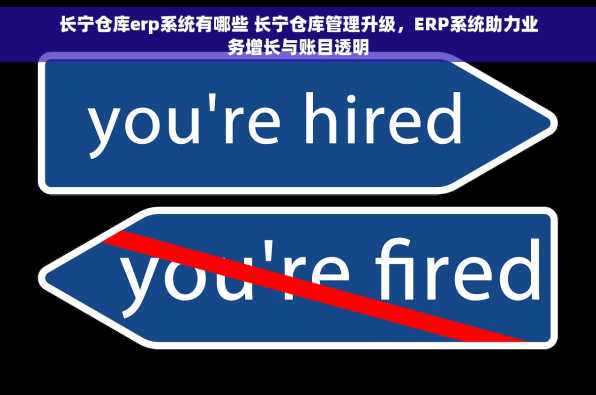 长宁仓库erp系统有哪些 长宁仓库管理升级，ERP系统助力业务增长与账目透明