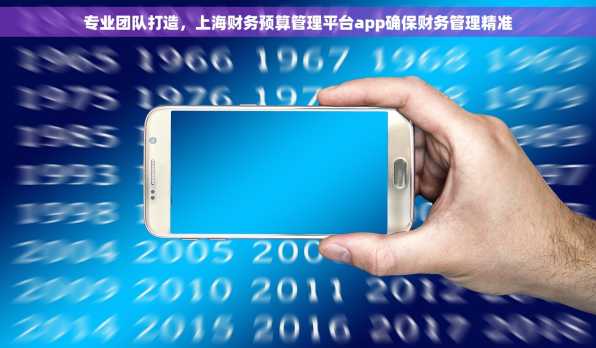 专业团队打造，上海财务预算管理平台app确保财务管理精准