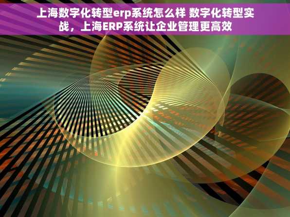 上海数字化转型erp系统怎么样 数字化转型实战，上海ERP系统让企业管理更高效
