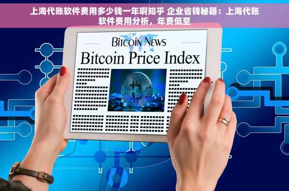 上海代账软件费用多少钱一年啊知乎 企业省钱秘籍：上海代账软件费用分析，年费低至