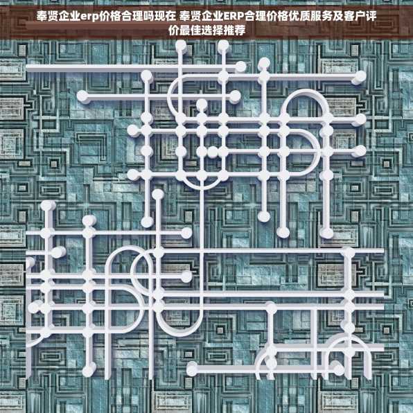 奉贤企业erp价格合理吗现在 奉贤企业ERP合理价格优质服务及客户评价最佳选择推荐