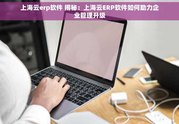 上海云erp软件 揭秘：上海云ERP软件如何助力企业管理升级