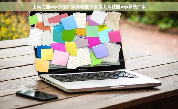 上海注塑erp系统厂家有哪些什么是上海注塑erp系统厂家