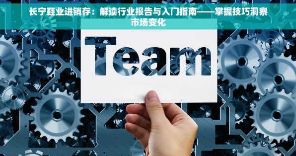 长宁鞋业进销存：解读行业报告与入门指南——掌握技巧洞察市场变化