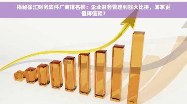 揭秘徐汇财务软件厂商排名榜：企业财务管理利器大比拼，哪家更值得信赖？