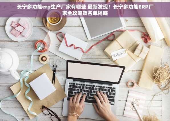 长宁多功能erp生产厂家有哪些 最新发现！长宁多功能ERP厂家全攻略及名单揭晓