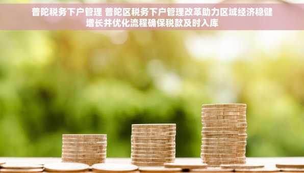 普陀税务下户管理 普陀区税务下户管理改革助力区域经济稳健增长并优化流程确保税款及时入库