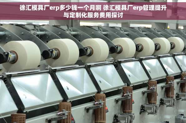 徐汇模具厂erp多少钱一个月啊 徐汇模具厂erp管理提升与定制化服务费用探讨