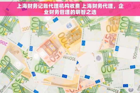 上海财务记账代理机构收费 上海财务代理，企业财务管理的明智之选