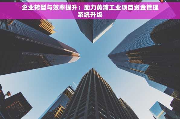 企业转型与效率提升：助力黄浦工业项目资金管理系统升级