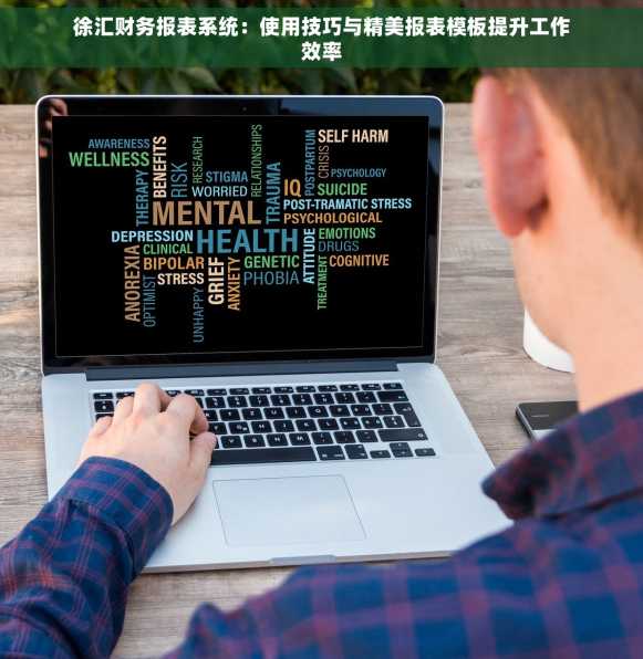 徐汇财务报表系统：使用技巧与精美报表模板提升工作效率