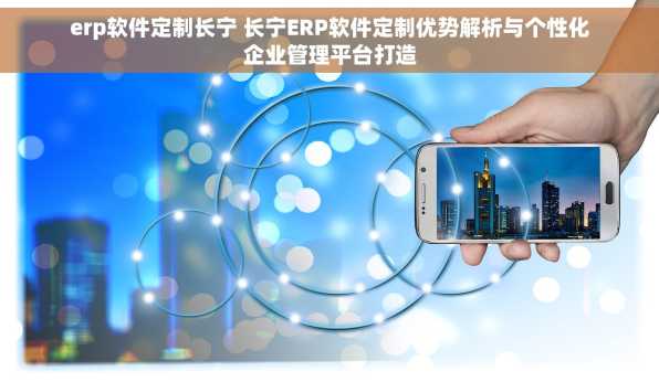 erp软件定制长宁 长宁ERP软件定制优势解析与个性化企业管理平台打造