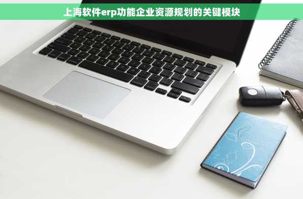 上海软件erp功能企业资源规划的关键模块
