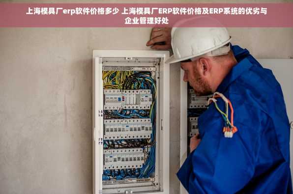 上海模具厂erp软件价格多少 上海模具厂ERP软件价格及ERP系统的优劣与企业管理好处