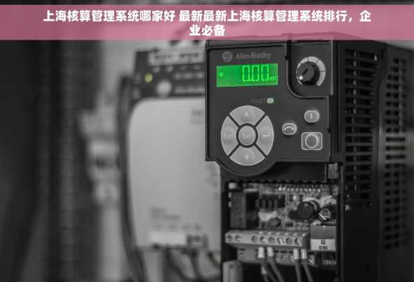 上海核算管理系统哪家好 最新最新上海核算管理系统排行，企业必备