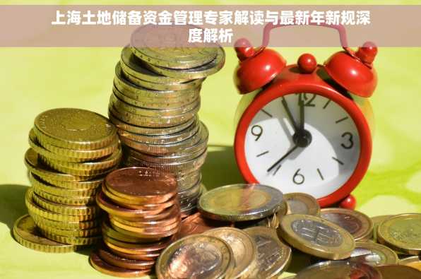 上海土地储备资金管理专家解读与最新年新规深度解析