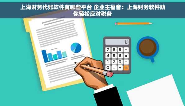 上海财务代账软件有哪些平台 企业主福音：上海财务软件助你轻松应对税务