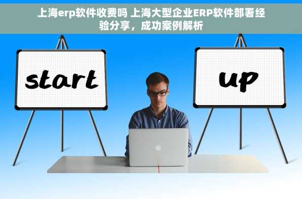 上海erp软件收费吗 上海大型企业ERP软件部署经验分享，成功案例解析