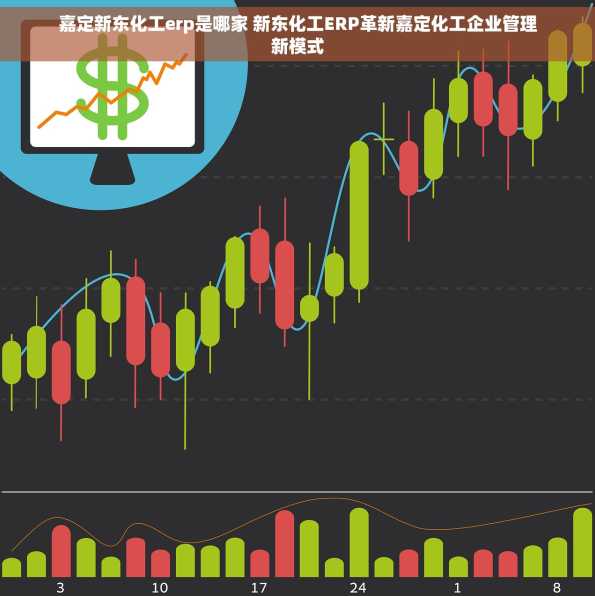 嘉定新东化工erp是哪家 新东化工ERP革新嘉定化工企业管理新模式
