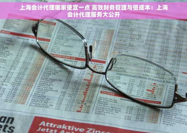 上海会计代理哪家便宜一点 高效财务管理与低成本：上海会计代理服务大公开