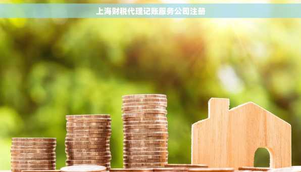 上海财税代理记账服务公司注册