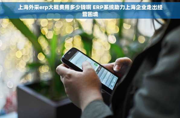 上海外采erp大概费用多少钱啊 ERP系统助力上海企业走出经营困境