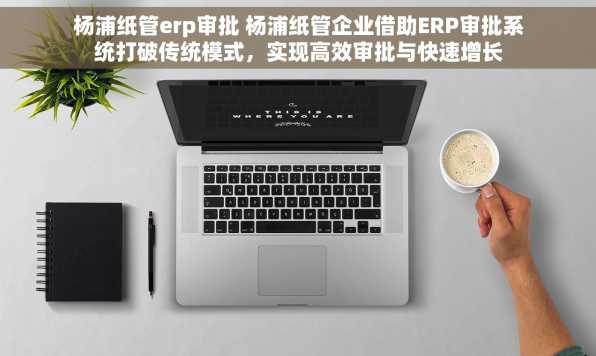 杨浦纸管erp审批 杨浦纸管企业借助ERP审批系统打破传统模式，实现高效审批与快速增长