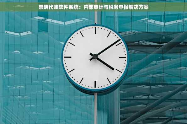 崇明代账软件系统：内部审计与税务申报解决方案