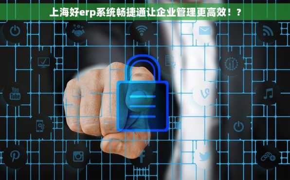上海好erp系统畅捷通让企业管理更高效！?