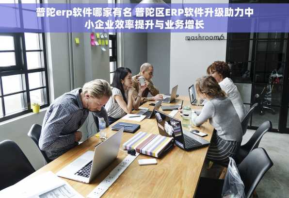 普陀erp软件哪家有名 普陀区ERP软件升级助力中小企业效率提升与业务增长