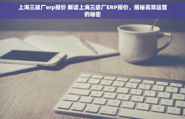 上海三级厂erp报价 解读上海三级厂ERP报价，揭秘高效运营的秘密
