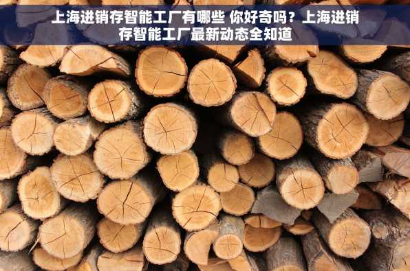 上海进销存智能工厂有哪些 你好奇吗？上海进销存智能工厂最新动态全知道