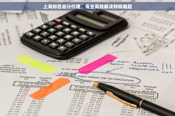 上海知名会计代理，专业高效解决财税难题