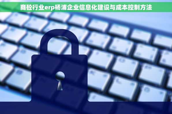 商砼行业erp杨浦企业信息化建设与成本控制方法