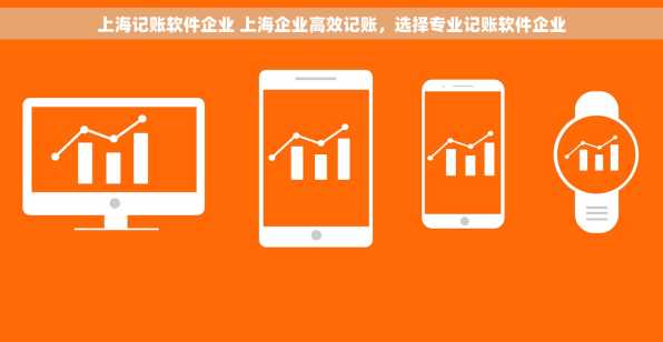 上海记账软件企业 上海企业高效记账，选择专业记账软件企业