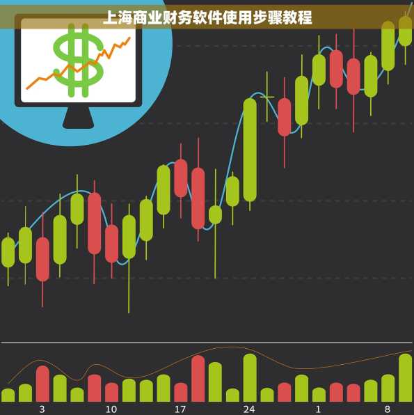 上海商业财务软件使用步骤教程