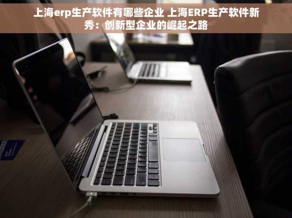 上海erp生产软件有哪些企业 上海ERP生产软件新秀：创新型企业的崛起之路