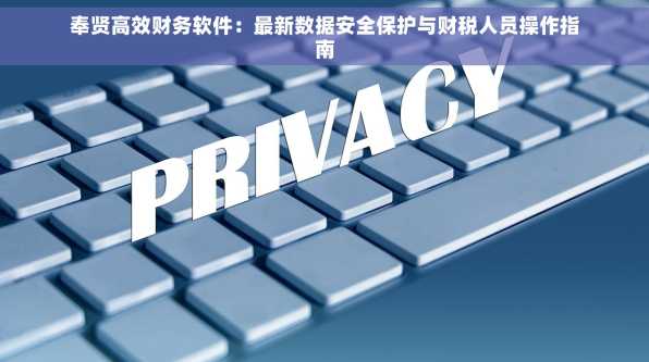 奉贤高效财务软件：最新数据安全保护与财税人员操作指南