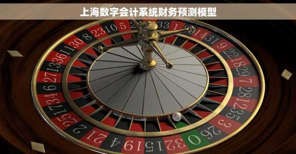 上海数字会计系统财务预测模型