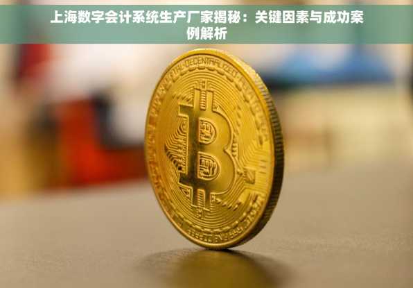 上海数字会计系统生产厂家揭秘：关键因素与成功案例解析