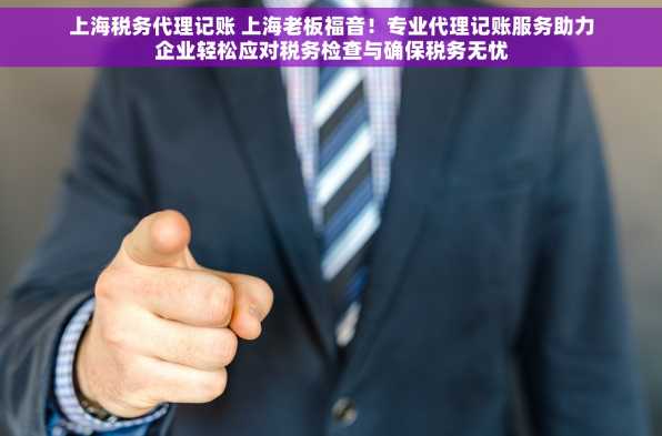 上海税务代理记账 上海老板福音！专业代理记账服务助力企业轻松应对税务检查与确保税务无忧