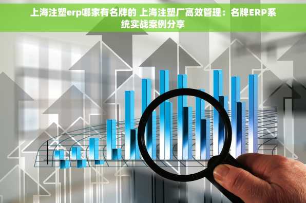 上海注塑erp哪家有名牌的 上海注塑厂高效管理：名牌ERP系统实战案例分享