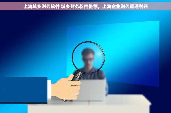 上海城乡财务软件 城乡财务软件推荐，上海企业财务管理利器