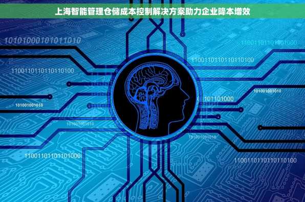 上海智能管理仓储成本控制解决方案助力企业降本增效