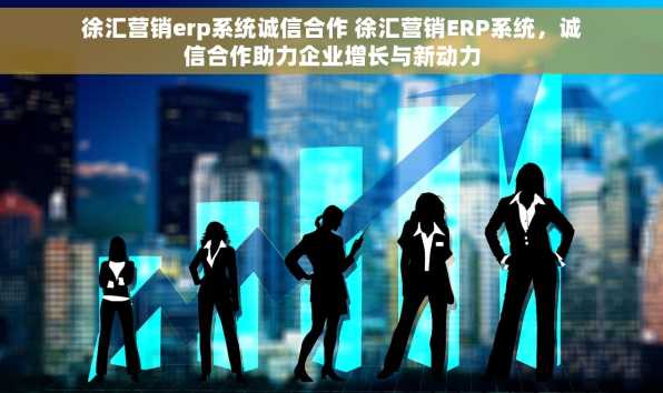徐汇营销erp系统诚信合作 徐汇营销ERP系统，诚信合作助力企业增长与新动力