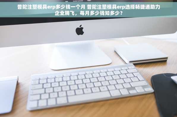 普陀注塑模具erp多少钱一个月 普陀注塑模具erp选择畅捷通助力企业腾飞，每月多少钱知多少？