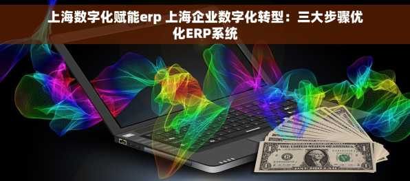 上海数字化赋能erp 上海企业数字化转型：三大步骤优化ERP系统