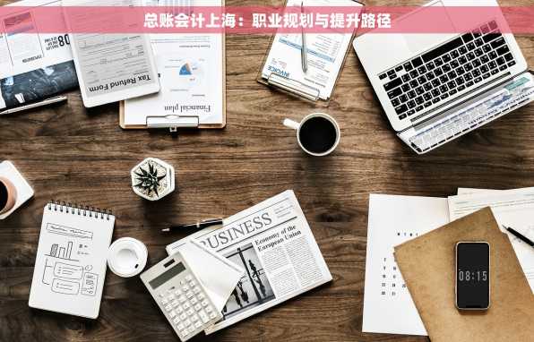 总账会计上海：职业规划与提升路径