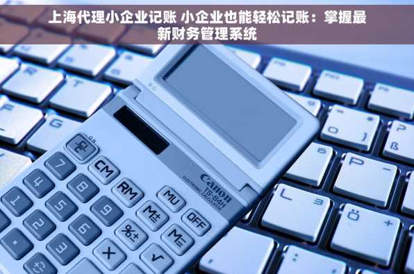 上海代理小企业记账 小企业也能轻松记账：掌握最新财务管理系统